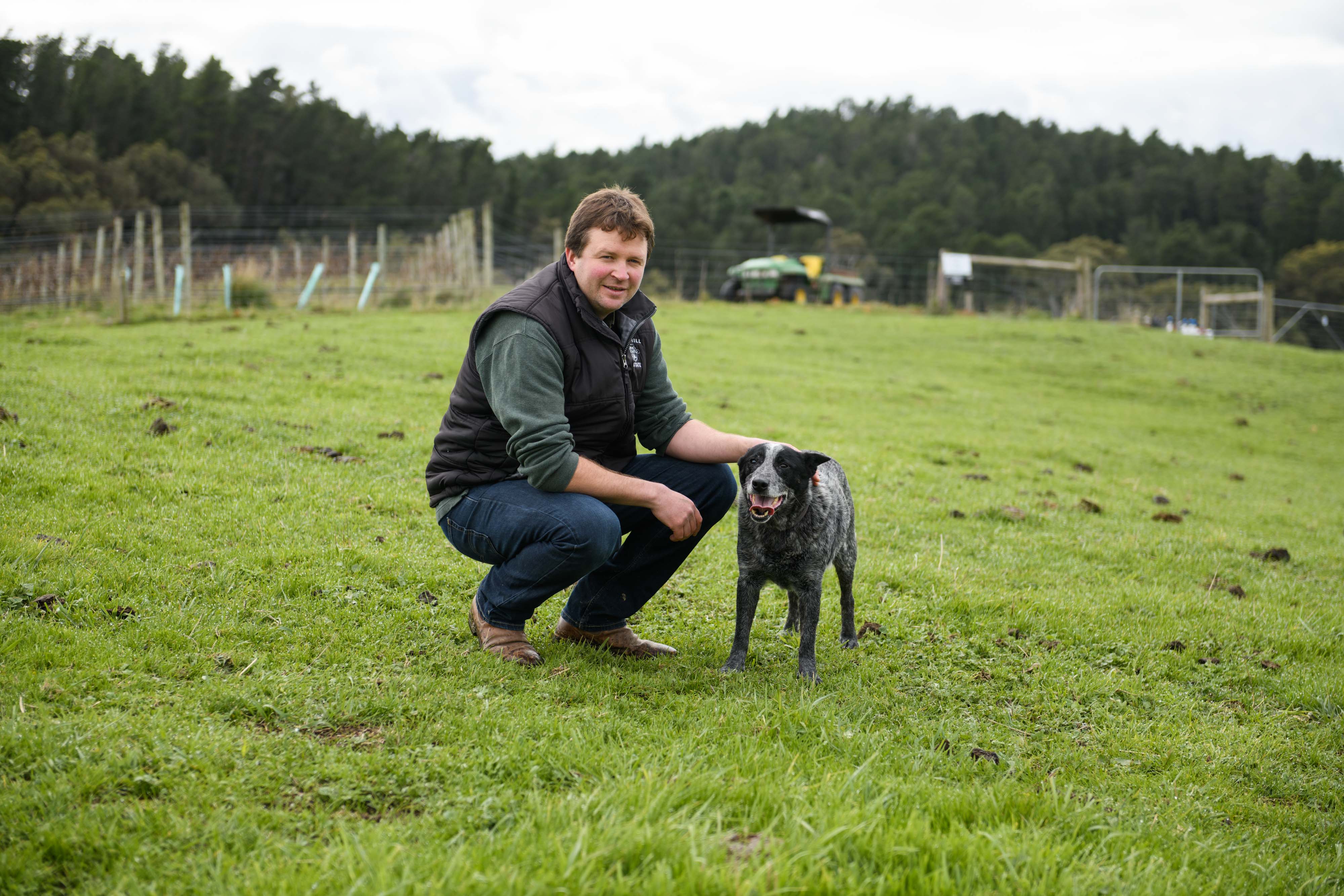 A man with a dog in the vineyard 